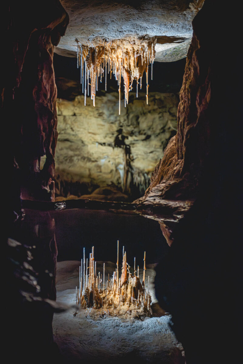 naina.co, naina redhu, Adelaide photographer, lifestyle, wine, eight at the gate, eightatthegate, wrattonbully, south Australia, wine region, wine estate, vineyard, photography, jane Richards, south Australian, limestone coast, naracoorte caves, limestone caves, stalactites, stalagmites, Alexandra caves, world heritage site, unesco