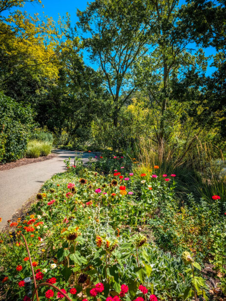 naina redhu, naina.co, Adelaide photographer, south Australia, mount lofty botanic garden, botanical gardens, landscape photographer, photographer, writer, experience collector, blogger, nature photographer, professional photographer, Australian, trees, lawn, lake, herbarium