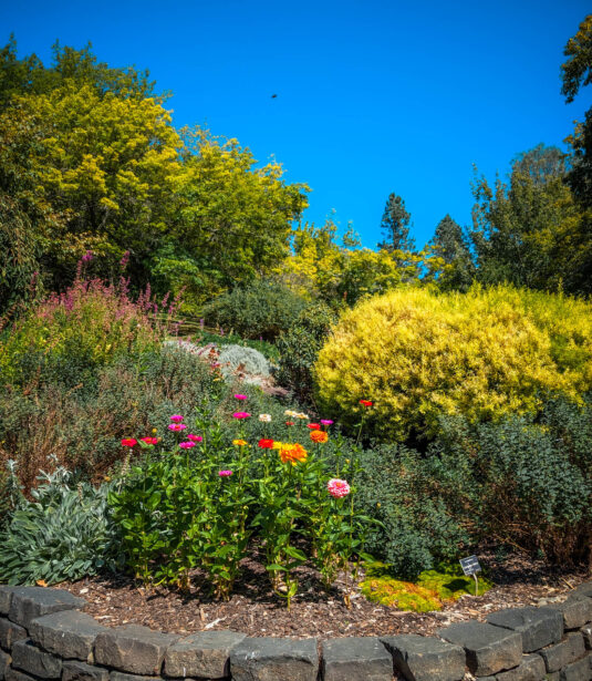 naina redhu, naina.co, Adelaide photographer, south Australia, mount lofty botanic garden, botanical gardens, landscape photographer, photographer, writer, experience collector, blogger, nature photographer, professional photographer, Australian, trees, lawn, lake, herbarium