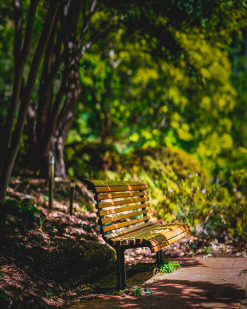 naina redhu, naina.co, Adelaide photographer, south Australia, mount lofty botanic garden, botanical gardens, landscape photographer, photographer, writer, experience collector, blogger, nature photographer, professional photographer, Australian, trees, lawn, lake, herbarium