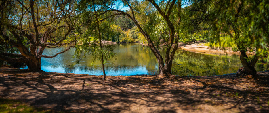 naina redhu, naina.co, Adelaide photographer, south Australia, mount lofty botanic garden, botanical gardens, landscape photographer, photographer, writer, experience collector, blogger, nature photographer, professional photographer, Australian, trees, lawn, lake, herbarium