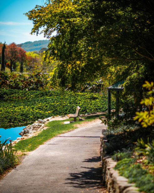 naina redhu, naina.co, Adelaide photographer, south Australia, mount lofty botanic garden, botanical gardens, landscape photographer, photographer, writer, experience collector, blogger, nature photographer, professional photographer, Australian, trees, lawn, lake, herbarium