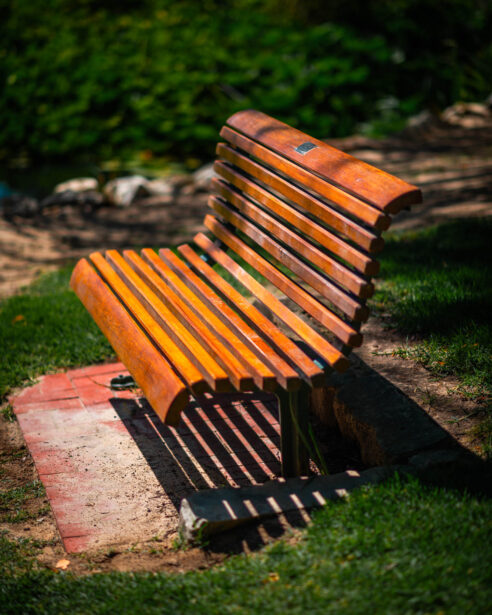 naina redhu, naina.co, Adelaide photographer, south Australia, mount lofty botanic garden, botanical gardens, landscape photographer, photographer, writer, experience collector, blogger, nature photographer, professional photographer, Australian, trees, lawn, lake, herbarium