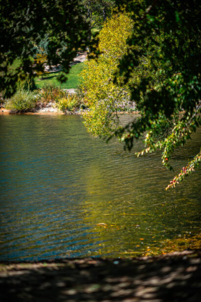 naina redhu, naina.co, Adelaide photographer, south Australia, mount lofty botanic garden, botanical gardens, landscape photographer, photographer, writer, experience collector, blogger, nature photographer, professional photographer, Australian, trees, lawn, lake, herbarium