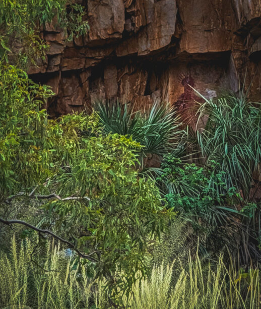 naina redhu, naina.co. journey beyond rail, the ghan, nitmiluk gorge cruise, landon, boat, Australia, Australian countryside, by train, rail journeys, travel photographer, locomotive, write, blogger, experience collector, aboriginal land, rock art, river cruise, Adelaide photographer, northern territory, Katherine, North Australia, off train experiences, great southern rail, Australian tourism