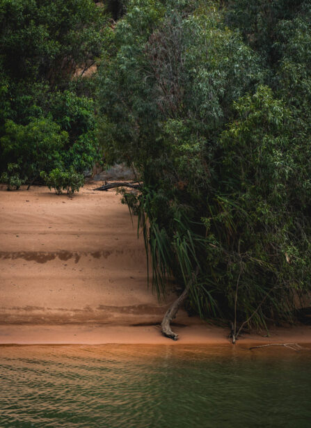 naina redhu, naina.co. journey beyond rail, the ghan, nitmiluk gorge cruise, landon, boat, Australia, Australian countryside, by train, rail journeys, travel photographer, locomotive, write, blogger, experience collector, aboriginal land, rock art, river cruise, Adelaide photographer, northern territory, Katherine, North Australia, off train experiences, great southern rail, Australian tourism