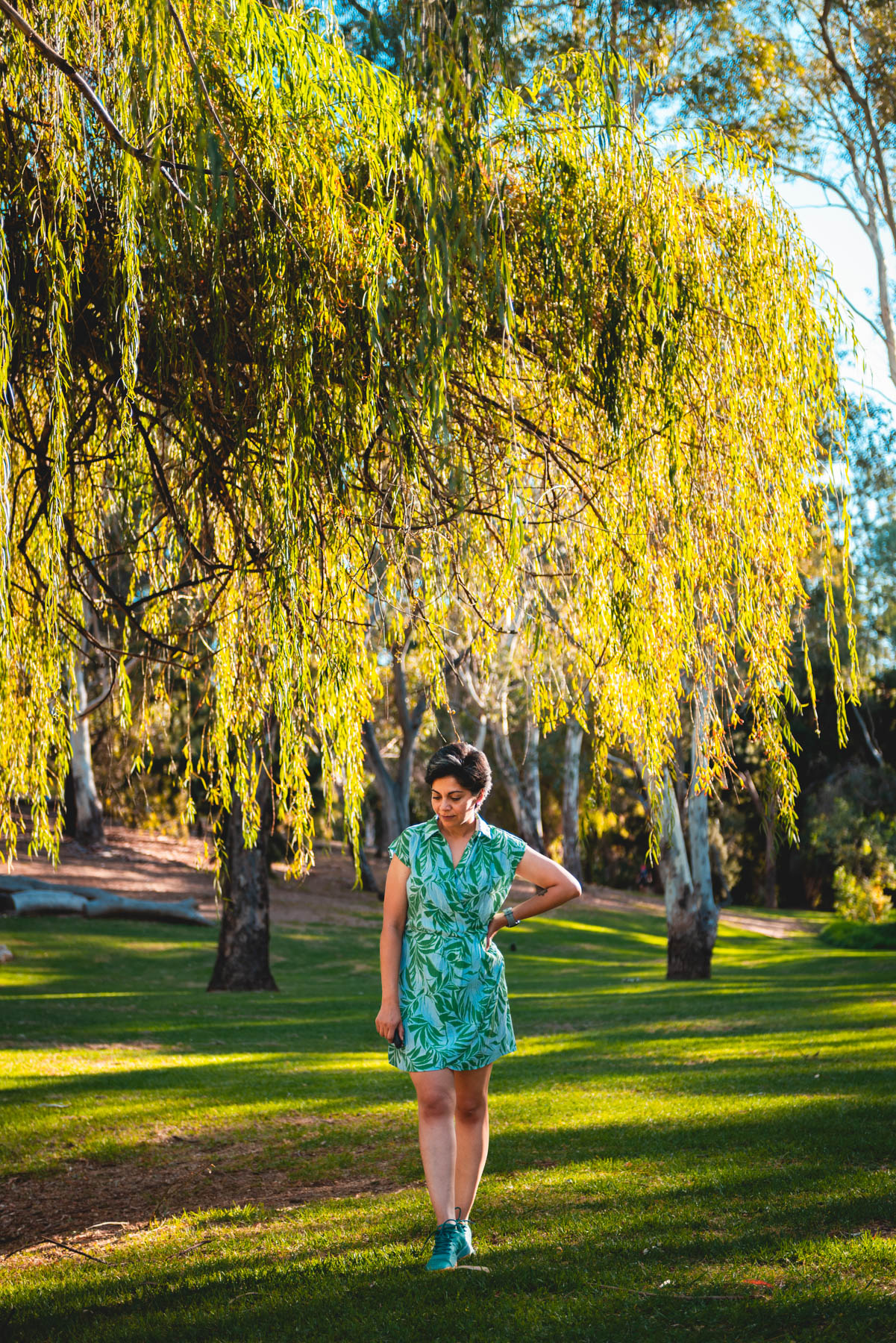 naina redhu, naina.co, Adelaide photographer, south Australia, felixstow reserve, landscape photographer, photographer, writer, experience collector, blogger, nature photographer, professional photographer, Australian, trees, lawn, lake, herbarium, Klemzig, Norwood payneham