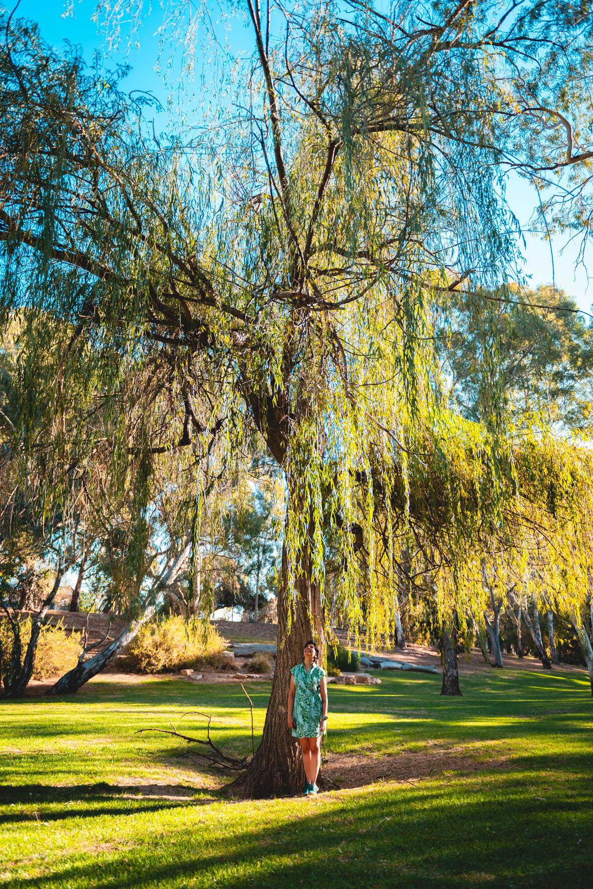 naina redhu, naina.co, Adelaide photographer, south Australia, felixstow reserve, landscape photographer, photographer, writer, experience collector, blogger, nature photographer, professional photographer, Australian, trees, lawn, lake, herbarium, Klemzig, Norwood payneham