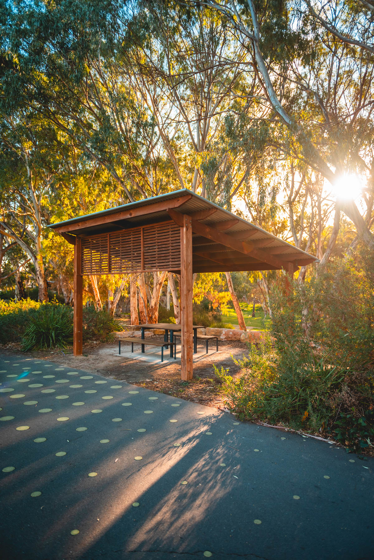 naina redhu, naina.co, Adelaide photographer, south Australia, felixstow reserve, landscape photographer, photographer, writer, experience collector, blogger, nature photographer, professional photographer, Australian, trees, lawn, lake, herbarium, Klemzig, Norwood payneham