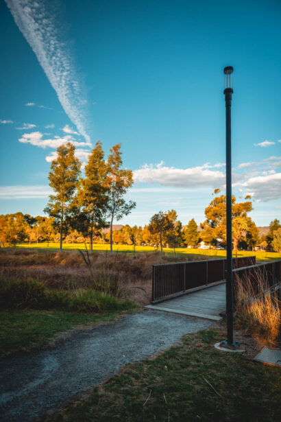 naina redhu, naina.co, Adelaide photographer, south Australia, felixstow reserve, landscape photographer, photographer, writer, experience collector, blogger, nature photographer, professional photographer, Australian, trees, lawn, lake, herbarium, Klemzig, Norwood payneham