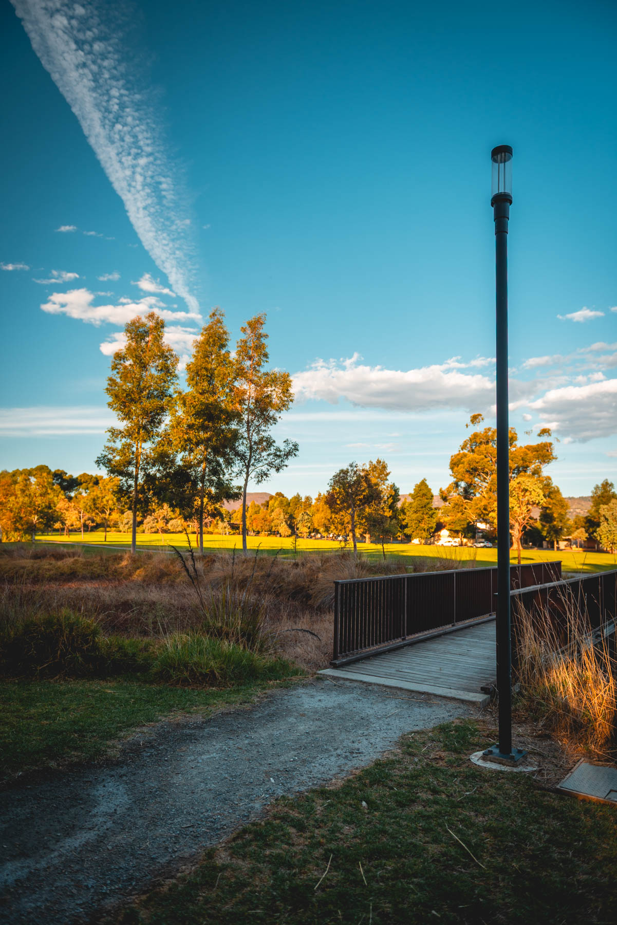 naina redhu, naina.co, Adelaide photographer, south Australia, felixstow reserve, landscape photographer, photographer, writer, experience collector, blogger, nature photographer, professional photographer, Australian, trees, lawn, lake, herbarium, Klemzig, Norwood payneham