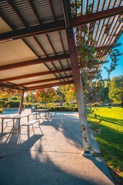 naina redhu, naina.co, Adelaide photographer, south Australia, felixstow reserve, landscape photographer, photographer, writer, experience collector, blogger, nature photographer, professional photographer, Australian, trees, lawn, lake, herbarium, Klemzig, Norwood payneham