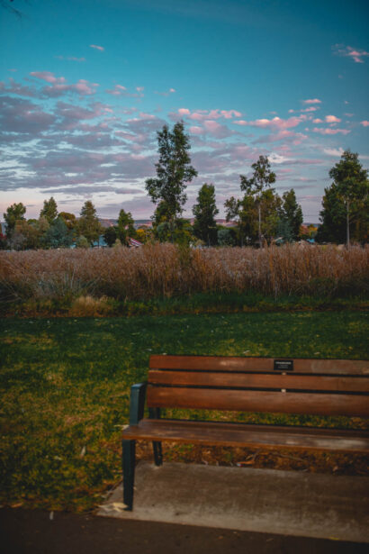 naina redhu, naina.co, Adelaide photographer, south Australia, felixstow reserve, landscape photographer, photographer, writer, experience collector, blogger, nature photographer, professional photographer, Australian, trees, lawn, lake, herbarium, Klemzig, Norwood payneham