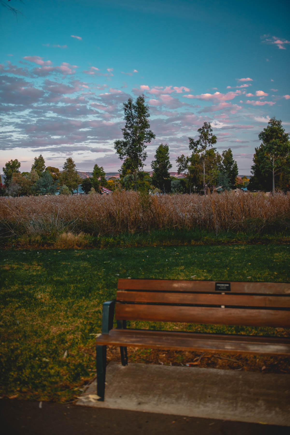 naina redhu, naina.co, Adelaide photographer, south Australia, felixstow reserve, landscape photographer, photographer, writer, experience collector, blogger, nature photographer, professional photographer, Australian, trees, lawn, lake, herbarium, Klemzig, Norwood payneham