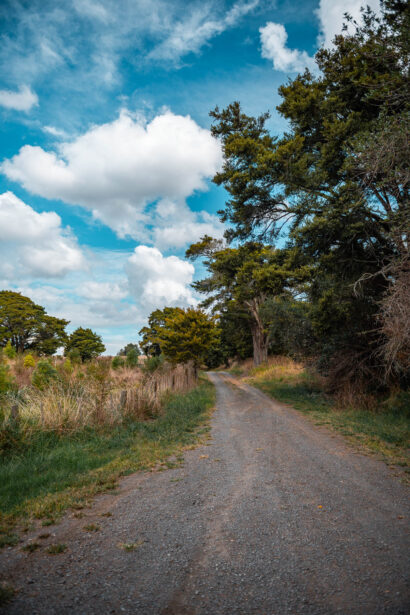 naina redhu, naina.co, new zealand, auckland, haroto bay, gravel road, tourism, travel photographer, ocean, self portraits, writer, blogger, experience collector, Adelaide photographer, waves, forest, east coast
