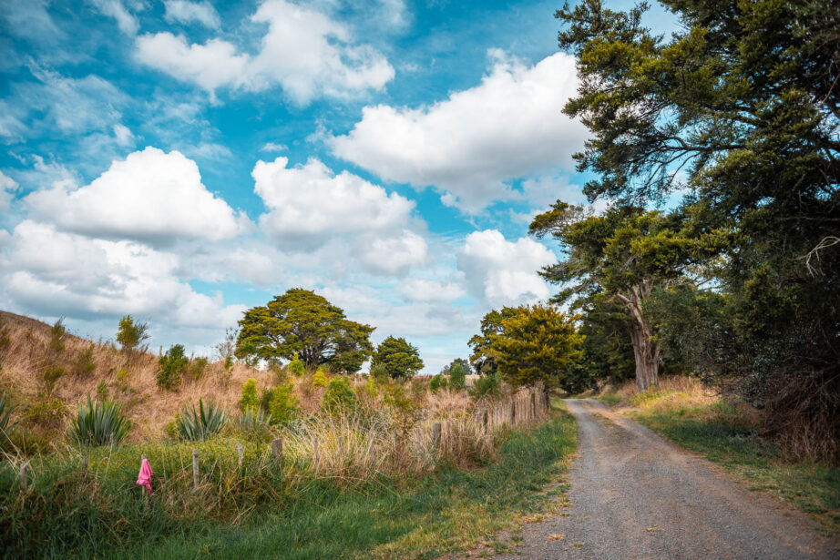 naina redhu, naina.co, new zealand, auckland, haroto bay, gravel road, tourism, travel photographer, ocean, self portraits, writer, blogger, experience collector, Adelaide photographer, waves, forest, east coast