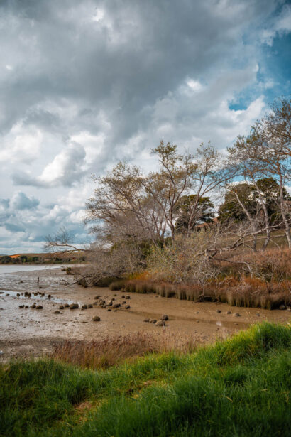 naina redhu, naina.co, new zealand, auckland, haroto bay, gravel road, tourism, travel photographer, ocean, self portraits, writer, blogger, experience collector, Adelaide photographer, waves, forest, east coast
