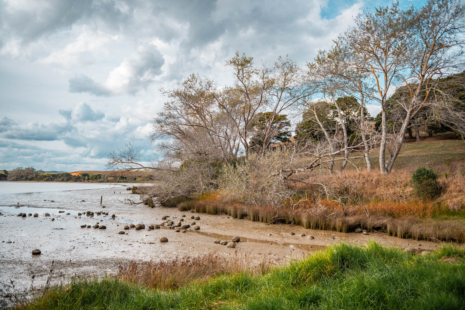 naina redhu, naina.co, new zealand, auckland, haroto bay, gravel road, tourism, travel photographer, ocean, self portraits, writer, blogger, experience collector, Adelaide photographer, waves, forest, east coast