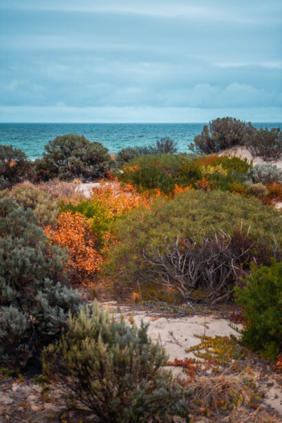 naina redhu, naina.co, Adelaide photographer, South Australia, Henley Beach, seascape, landscape, landscape photographer, photographer, writer, experience collector, blogger, nature photographer, professional photographer, Australian, ocean waves, sunset, beaches, sand