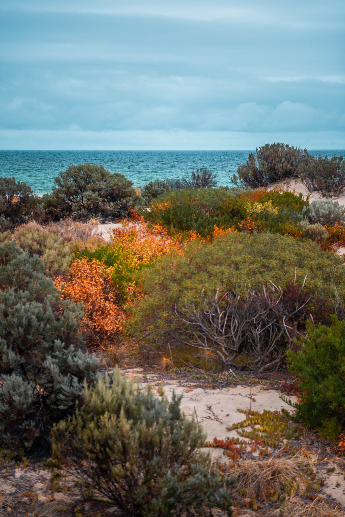 naina redhu, naina.co, Adelaide photographer, South Australia, Henley Beach, seascape, landscape, landscape photographer, photographer, writer, experience collector, blogger, nature photographer, professional photographer, Australian, ocean waves, sunset, beaches, sand