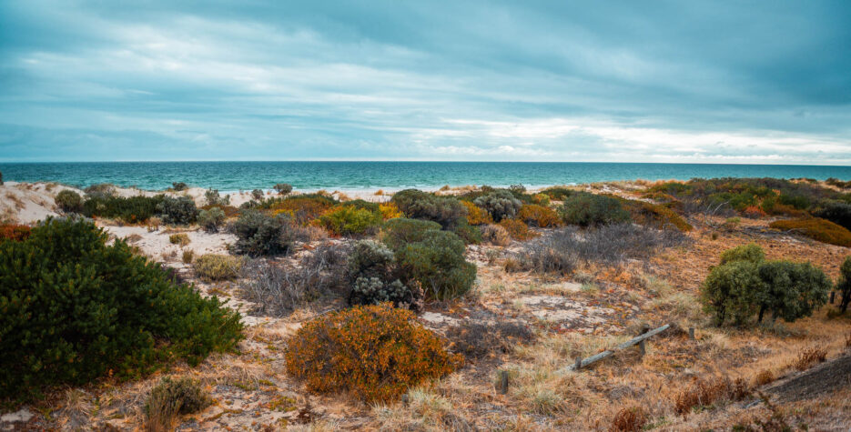 naina redhu, naina.co, Adelaide photographer, South Australia, Henley Beach, seascape, landscape, landscape photographer, photographer, writer, experience collector, blogger, nature photographer, professional photographer, Australian, ocean waves, sunset, beaches, sand