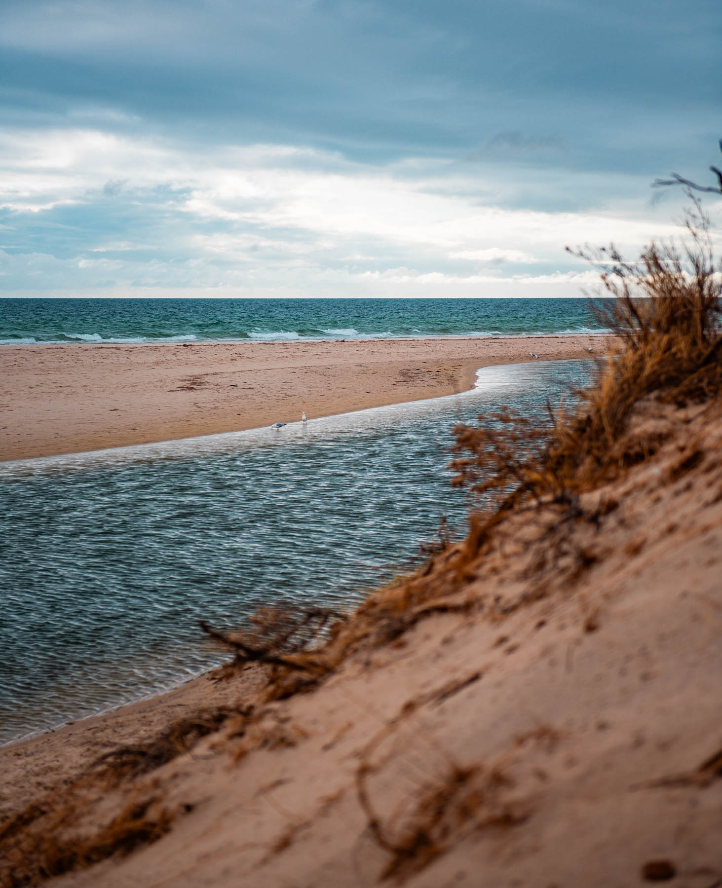 naina redhu, naina.co, Adelaide photographer, South Australia, Henley Beach, seascape, landscape, landscape photographer, photographer, writer, experience collector, blogger, nature photographer, professional photographer, Australian, ocean waves, sunset, beaches, sand