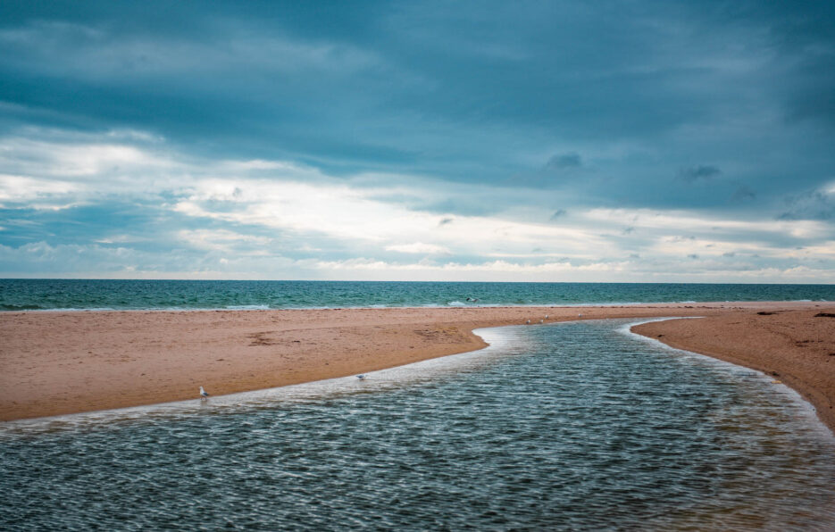 naina redhu, naina.co, Adelaide photographer, South Australia, Henley Beach, seascape, landscape, landscape photographer, photographer, writer, experience collector, blogger, nature photographer, professional photographer, Australian, ocean waves, sunset, beaches, sand