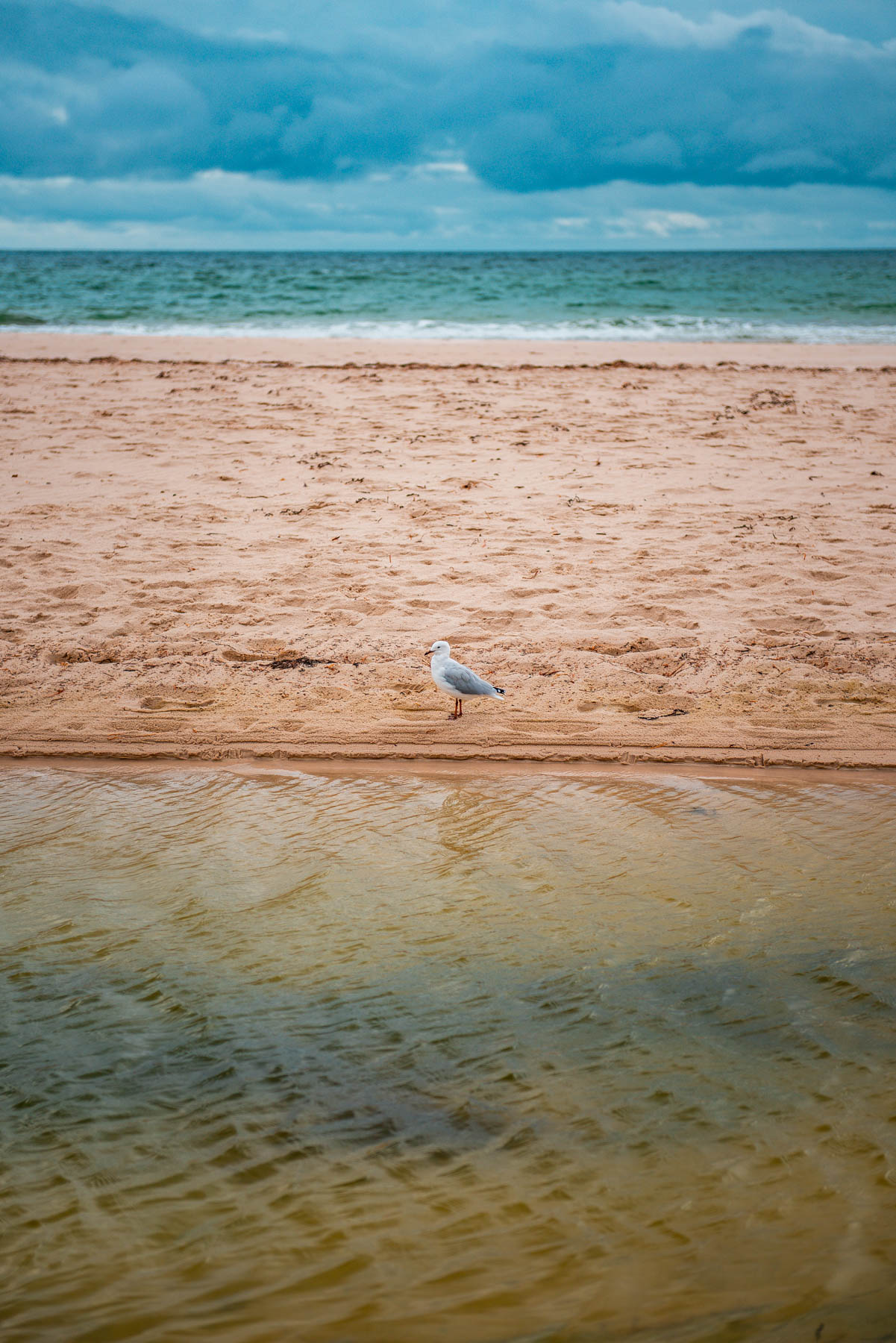 naina redhu, naina.co, Adelaide photographer, South Australia, Henley Beach, seascape, landscape, landscape photographer, photographer, writer, experience collector, blogger, nature photographer, professional photographer, Australian, ocean waves, sunset, beaches, sand