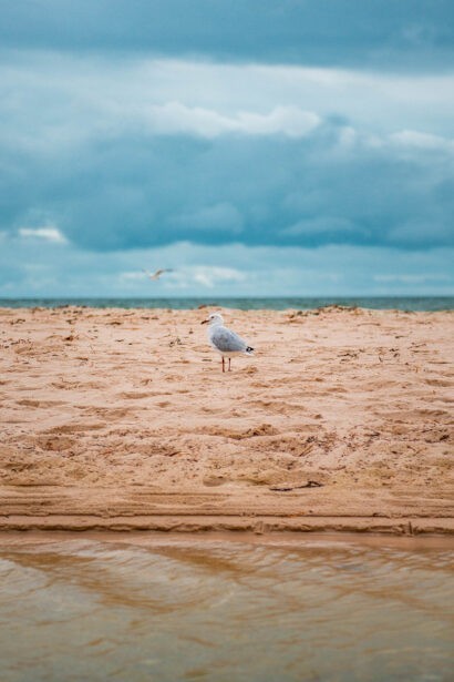 naina redhu, naina.co, Adelaide photographer, South Australia, Henley Beach, seascape, landscape, landscape photographer, photographer, writer, experience collector, blogger, nature photographer, professional photographer, Australian, ocean waves, sunset, beaches, sand