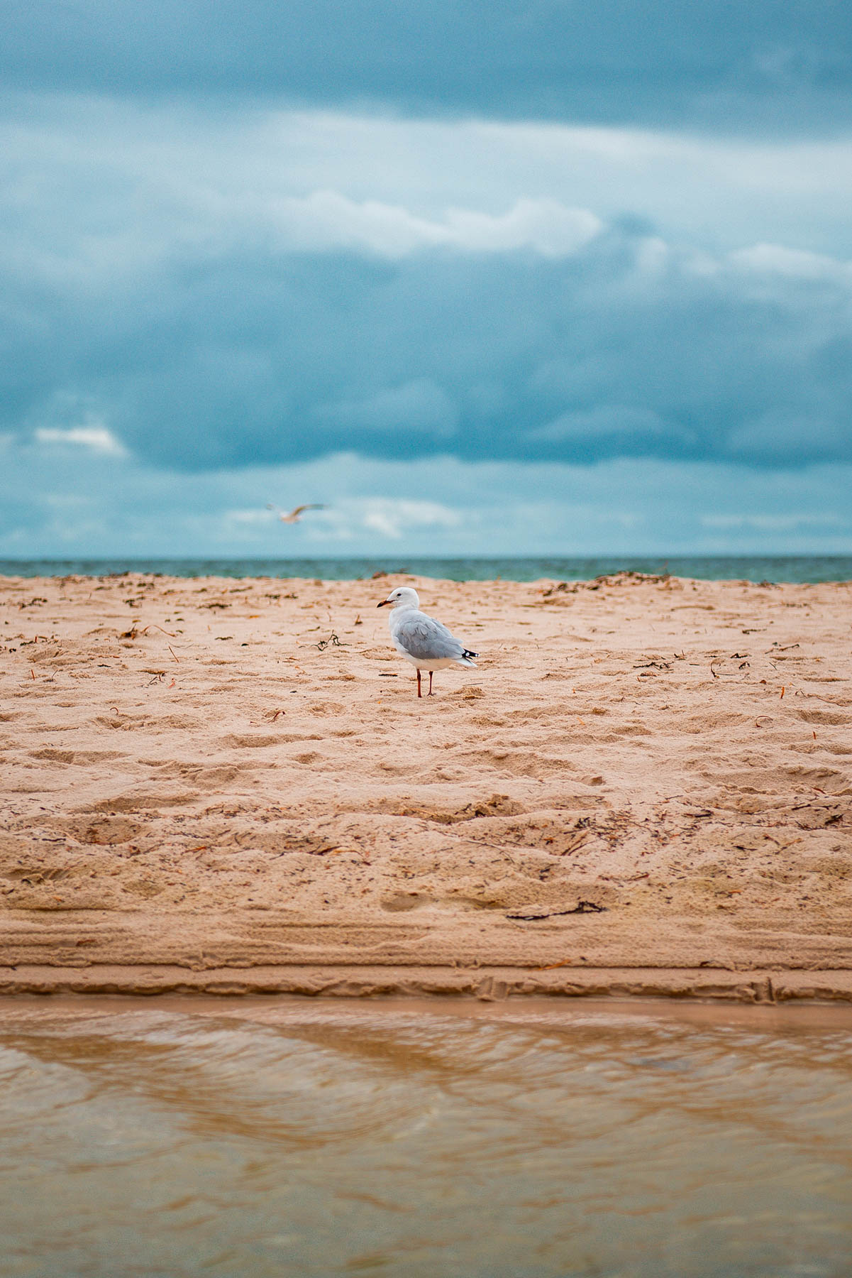 naina redhu, naina.co, Adelaide photographer, South Australia, Henley Beach, seascape, landscape, landscape photographer, photographer, writer, experience collector, blogger, nature photographer, professional photographer, Australian, ocean waves, sunset, beaches, sand