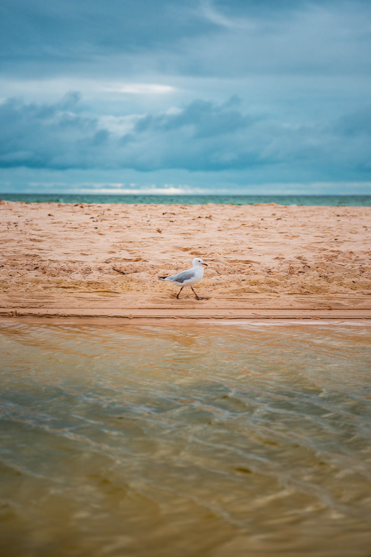 naina redhu, naina.co, Adelaide photographer, South Australia, Henley Beach, seascape, landscape, landscape photographer, photographer, writer, experience collector, blogger, nature photographer, professional photographer, Australian, ocean waves, sunset, beaches, sand