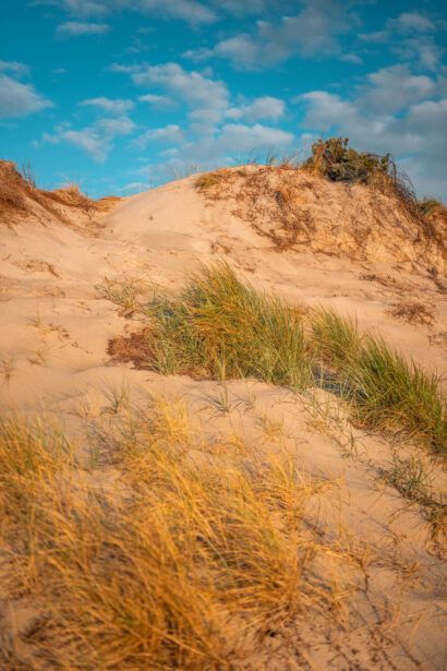 naina redhu, naina.co, Adelaide photographer, South Australia, Henley Beach, seascape, landscape, landscape photographer, photographer, writer, experience collector, blogger, nature photographer, professional photographer, Australian, ocean waves, sunset, beaches, sand