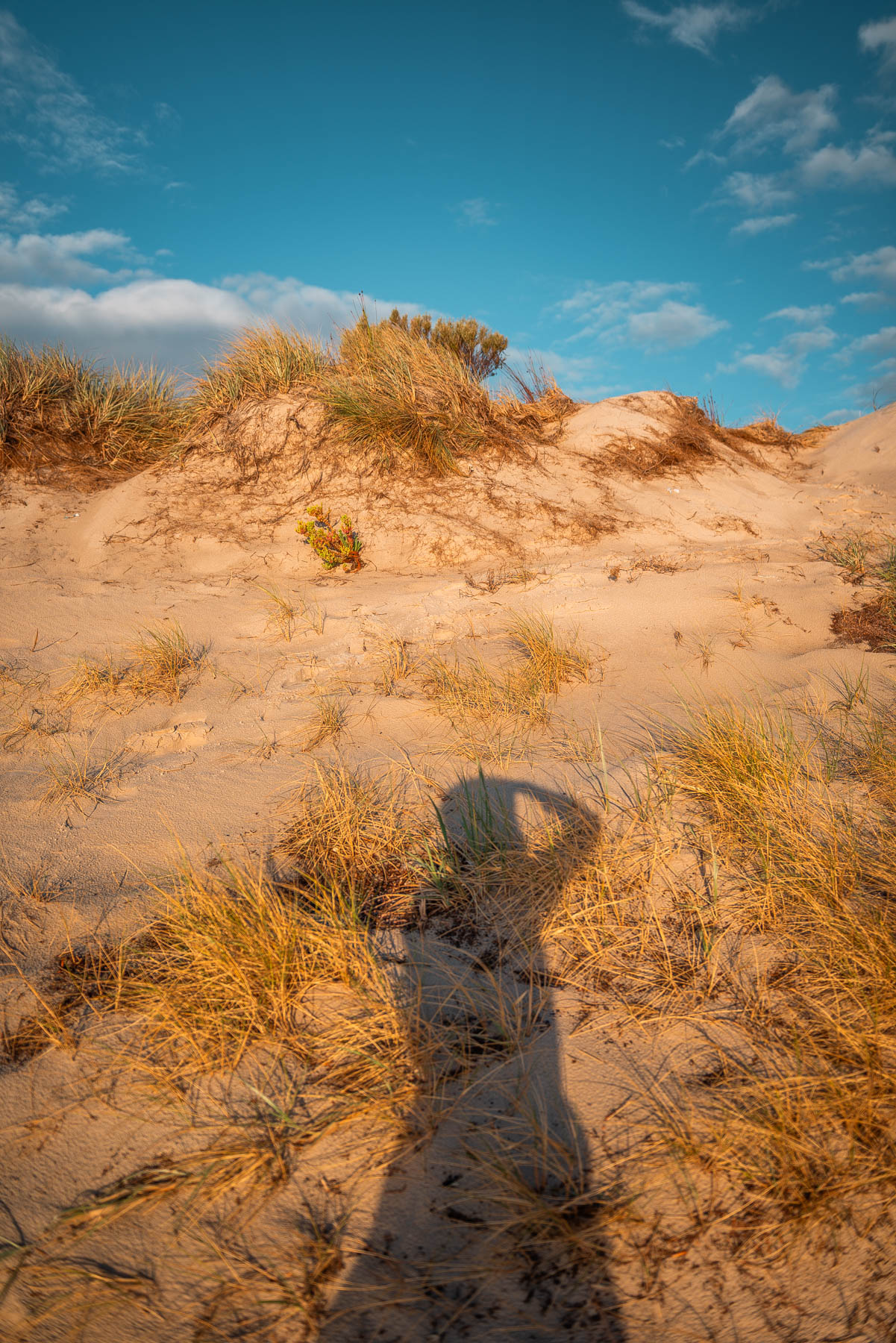 naina redhu, naina.co, Adelaide photographer, South Australia, Henley Beach, seascape, landscape, landscape photographer, photographer, writer, experience collector, blogger, nature photographer, professional photographer, Australian, ocean waves, sunset, beaches, sand