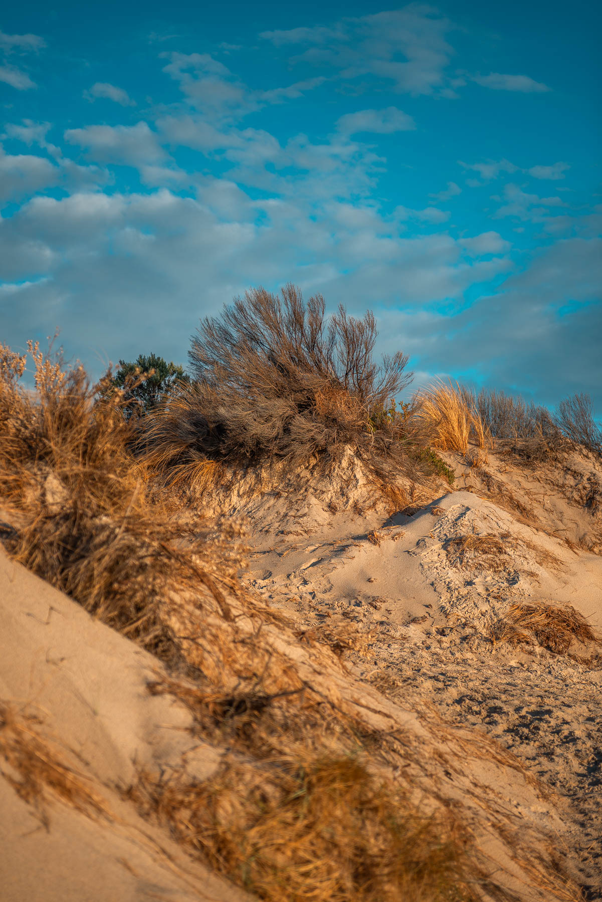naina redhu, naina.co, Adelaide photographer, South Australia, Henley Beach, seascape, landscape, landscape photographer, photographer, writer, experience collector, blogger, nature photographer, professional photographer, Australian, ocean waves, sunset, beaches, sand