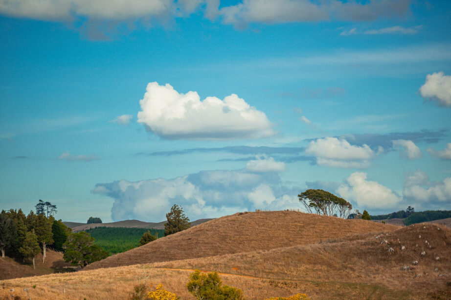 naina redhu, naina.co, new zealand, auckland, HW22, state highway 22, hills, meadows, drive, driving, road-trip, tourism, travel photographer, farmland, self portraits, writer, blogger, experience collector, Adelaide photographer