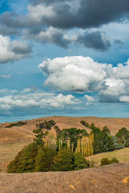 naina redhu, naina.co, new zealand, auckland, HW22, state highway 22, hills, meadows, drive, driving, road-trip, tourism, travel photographer, farmland, self portraits, writer, blogger, experience collector, Adelaide photographer