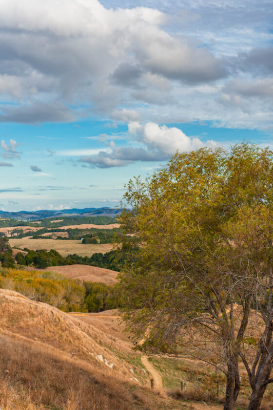 naina redhu, naina.co, new zealand, auckland, HW22, state highway 22, hills, meadows, drive, driving, road-trip, tourism, travel photographer, farmland, self portraits, writer, blogger, experience collector, Adelaide photographer