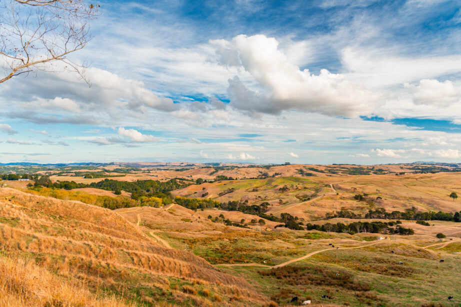 naina redhu, naina.co, new zealand, auckland, HW22, state highway 22, hills, meadows, drive, driving, road-trip, tourism, travel photographer, farmland, self portraits, writer, blogger, experience collector, Adelaide photographer