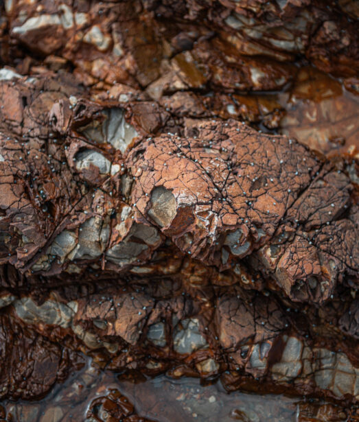naina redhu, naina.co, new zealand, auckland, waitawa, mataitai bay, shells, beach, reserve, tourism, travel photographer, ocean, self portraits, writer, blogger, experience collector, Adelaide photographer, jetty, pier, waves, forest, east coast