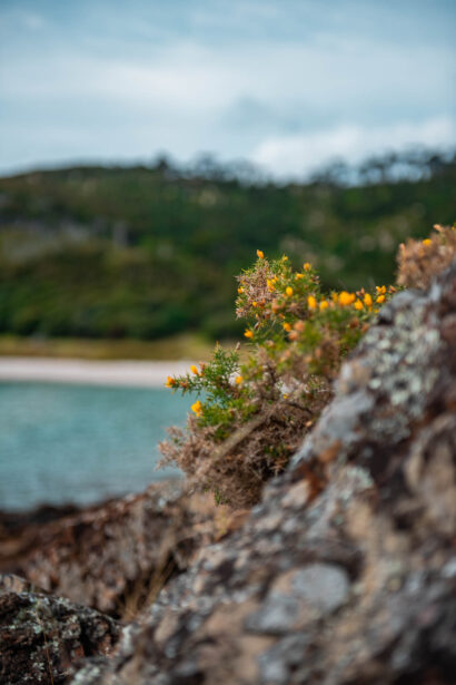 naina redhu, naina.co, new zealand, auckland, waitawa, mataitai bay, shells, beach, reserve, tourism, travel photographer, ocean, self portraits, writer, blogger, experience collector, Adelaide photographer, jetty, pier, waves, forest, east coast