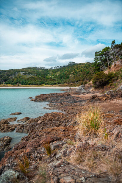 naina redhu, naina.co, new zealand, auckland, waitawa, mataitai bay, shells, beach, reserve, tourism, travel photographer, ocean, self portraits, writer, blogger, experience collector, Adelaide photographer, jetty, pier, waves, forest, east coast