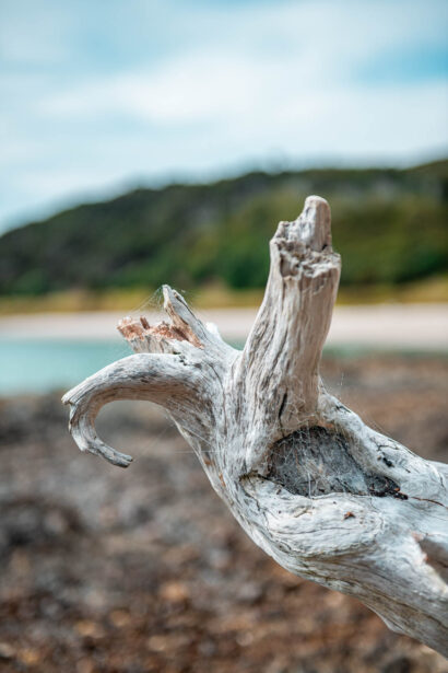 naina redhu, naina.co, new zealand, auckland, waitawa, mataitai bay, shells, beach, reserve, tourism, travel photographer, ocean, self portraits, writer, blogger, experience collector, Adelaide photographer, jetty, pier, waves, forest, east coast
