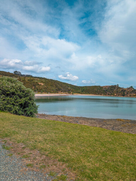 naina redhu, naina.co, new zealand, auckland, waitawa, mataitai bay, shells, beach, reserve, tourism, travel photographer, ocean, self portraits, writer, blogger, experience collector, Adelaide photographer, jetty, pier, waves, forest, east coast