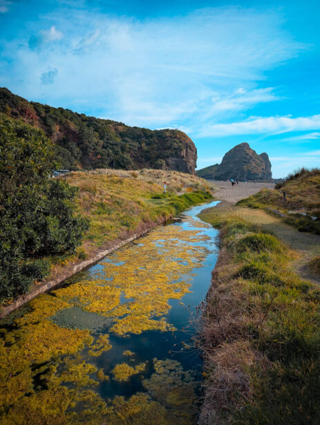 naina redhu, naina.co, new zealand, auckland, piha beach, black sand, tourism, travel photographer, ocean, self portraits, writer, blogger, experience collector, Adelaide photographer, sunset, waves, the gap