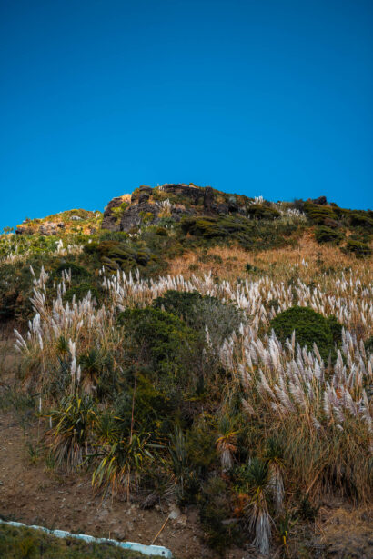 naina redhu, naina.co, new zealand, auckland, piha beach, black sand, tourism, travel photographer, ocean, self portraits, writer, blogger, experience collector, Adelaide photographer, sunset, waves, the gap