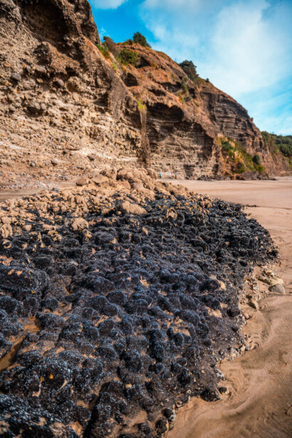 naina redhu, naina.co, new zealand, auckland, piha beach, black sand, tourism, travel photographer, ocean, self portraits, writer, blogger, experience collector, Adelaide photographer, sunset, waves, the gap