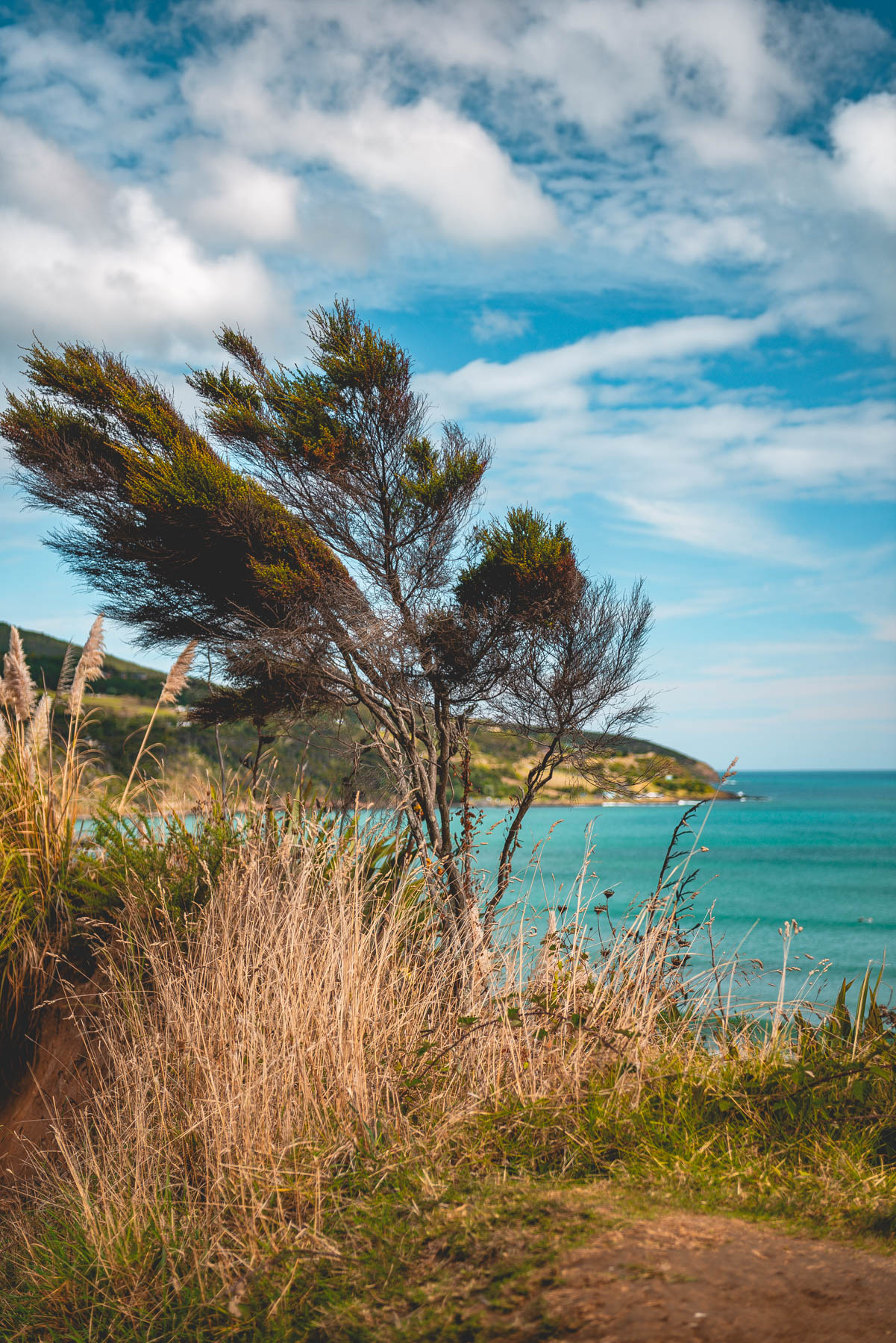 naina redhu, naina.co, new zealand, auckland, ngarunui beach, raglan, black sand, beach, reserve, tourism, travel photographer, ocean, self portraits, writer, blogger, experience collector, Adelaide photographer