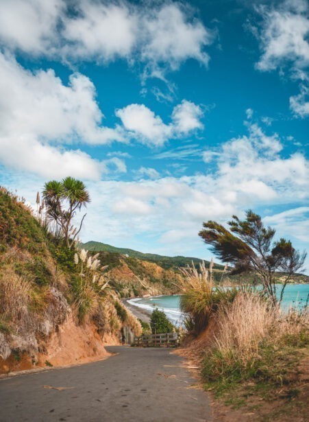 naina redhu, naina.co, new zealand, auckland, ngarunui beach, raglan, black sand, beach, reserve, tourism, travel photographer, ocean, self portraits, writer, blogger, experience collector, Adelaide photographer