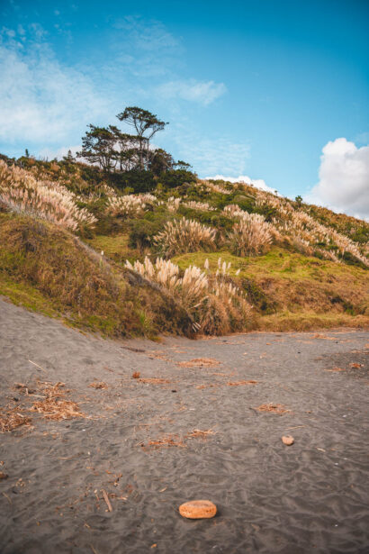naina redhu, naina.co, new zealand, auckland, ngarunui beach, raglan, black sand, beach, reserve, tourism, travel photographer, ocean, self portraits, writer, blogger, experience collector, Adelaide photographer