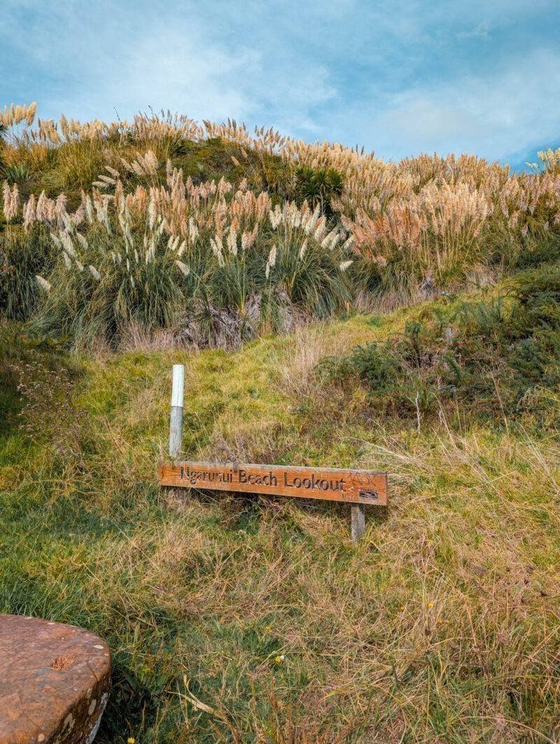 Ngarunui Beach, Raglan, Auckland, New Zealand - Naina.co